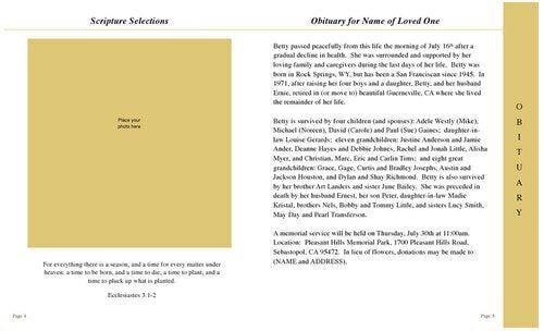 Cherub 8-Sided Graduated Program Template.