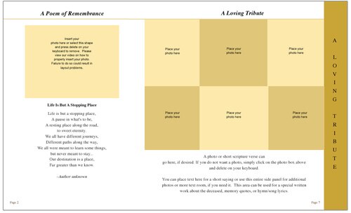 Cherub 8-Sided Graduated Program Template.