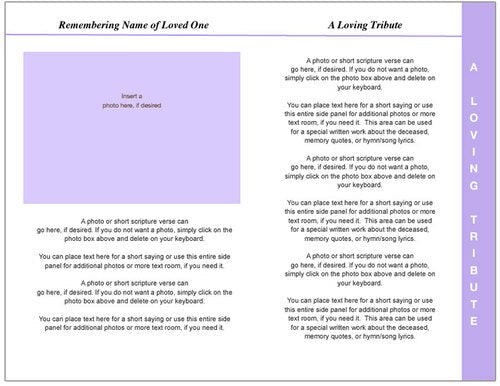 Rapture 8-Sided Graduated Program Template.