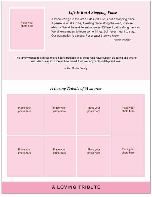 Awareness 8-Sided Graduated Bottom Fold Template (Letter Size).