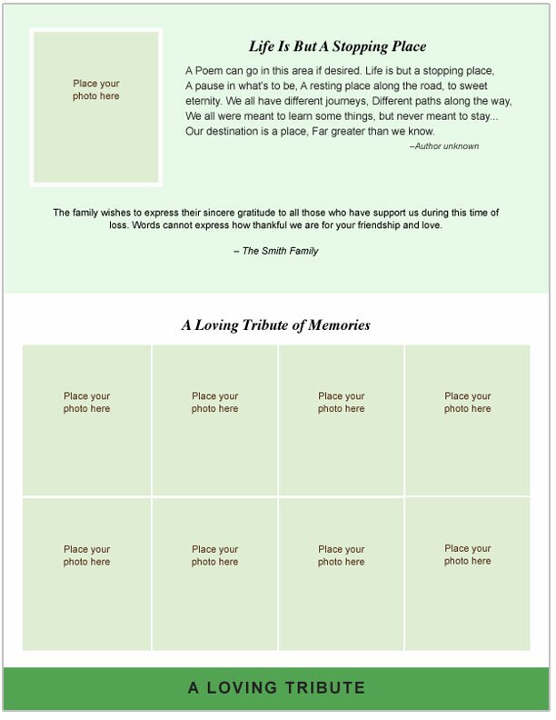 Ambrosia 8-Sided Graduated Bottom Fold Template.