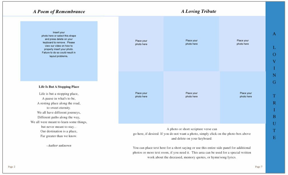 Golfer 8-Sided Graduated Program Template.